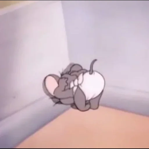tom jerry, jerry maus, the little mouse tom jerry, die kleine maus jerry hat hunger, grey mouse tom jerry