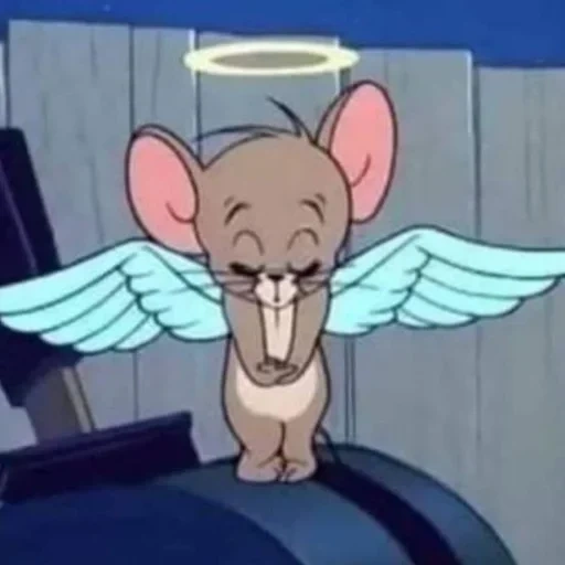 jerry, tom jerry, jerry mouse, tom jerry mouse, the absurdity of preservation