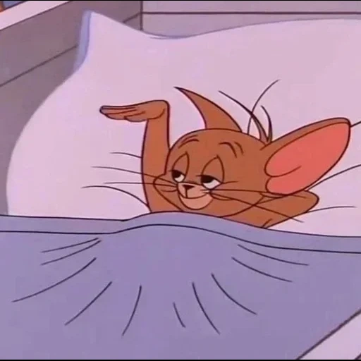 gato, jerry, tom jerry, tom jerry sukh, jerry ratón para dormir