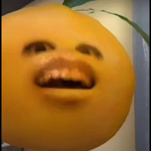 апельсин глазами, бесячий апельсин, говорящий апельсин, надоедливый апельсин