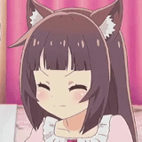 animação neko, animação fofa, animação nikolala, personagem de anime, nekopara 2020 animation cat park