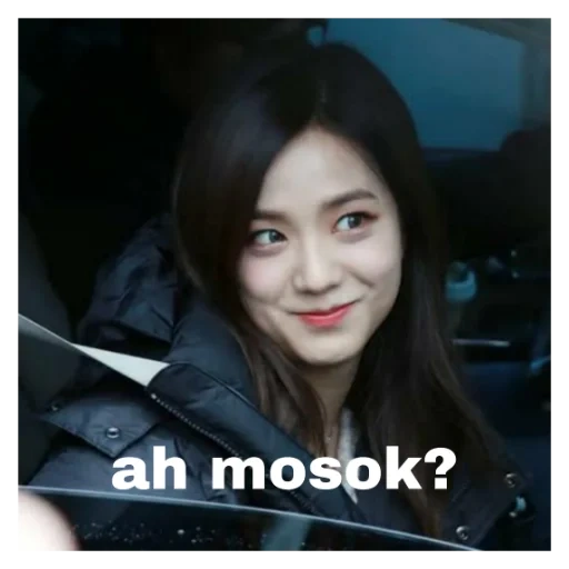 jisoo kim, gin gil soo, blackpink, jisoo blackpink, kim jisoo blackpink