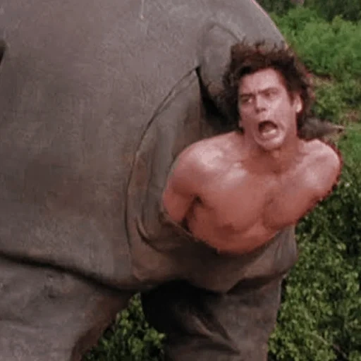 hommes, esventura, je n'ai pas mal, rhinocéros d'aisventura, évasion du daghestan
