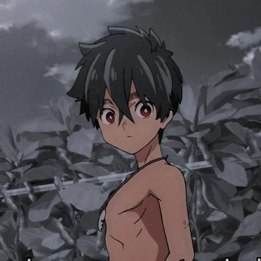 anime, ragazzo anime, personaggi anime, incidente anime di camono, incidente anime di kaban kamono