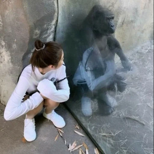niños, chica, niño, humano, describe una foto del zoológico