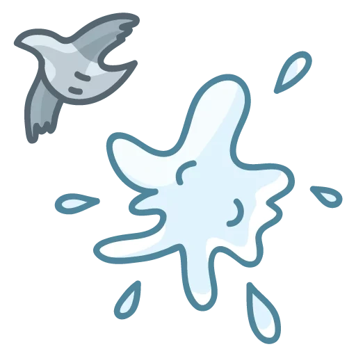 gaivota sorridente, estrela do mar, ameba comum, imagem borrada
