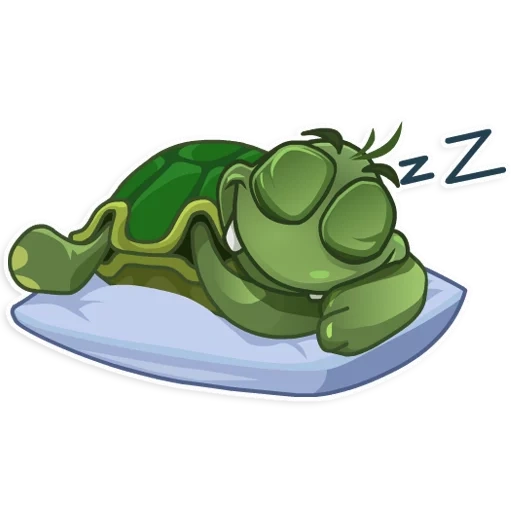 turtle, turtle, turtle watsap, frog tortoise, turtle sticker