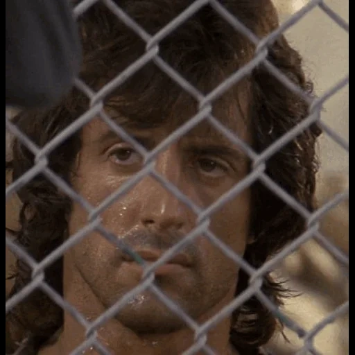 sylvester, video flash, rambo first blood, sylvester stallone, rambo first blood 2