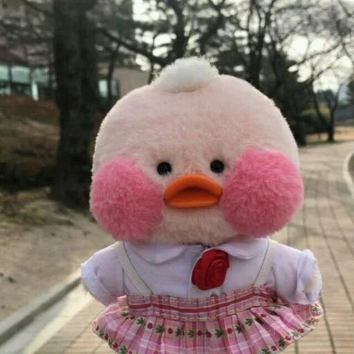 lala muscovy duck, lala muscovy duck, duck lala fanfan aesthetics, lala muscovy duck plush toy, lala muscovy duck plush toy