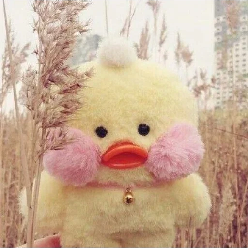 duck plush, duck plush, lala muscovy duck, plush toy duck, duck lala fanfan aesthetics