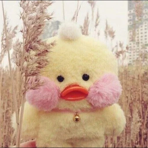 le canard est en peluche, le canard est en peluche, canard de lalafanfan, canard jouet en peluche, esthétique de canard lalafanfan