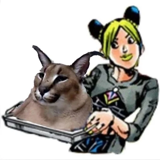 jolyne, jojo s, jolyne kujo, jolyne lowry, petualangan aneh jojo