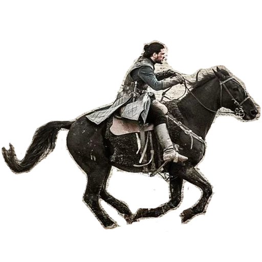 paseando a caballo, jinete, el caballo es un extranjero, john snow horse, vector de jinete de caballos