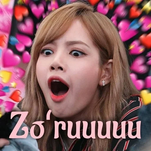 schwarzrosa, schwarzrosa, lisa blackpink, black pink memes, blackpink memes