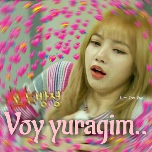 polvere nera, polvere nera, lisa blackpink, volpe in polvere nera, blackpink memes