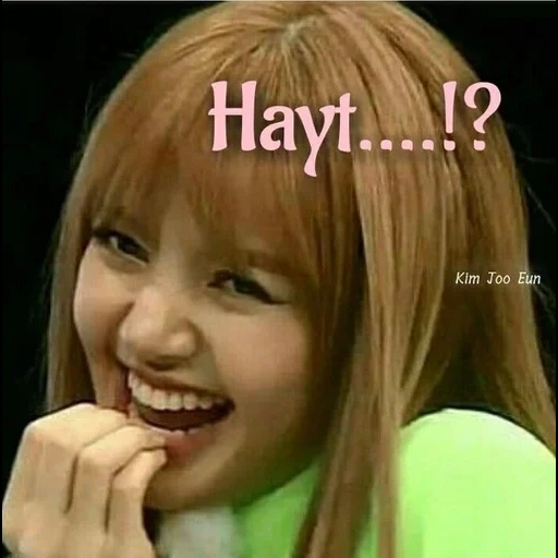 black powder, lisa blackpink, fox blackpink, blackpink memes, directed by myself 2011