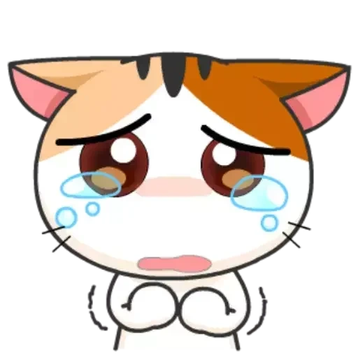 meow meow animation, the cat is crying, japanese cat, meow animated, japanese kitten