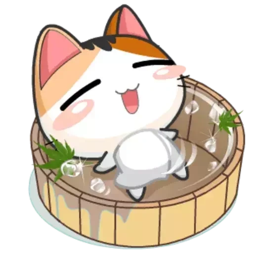 wa apps, meow animated, le chat miaou miaou, phoque du japon