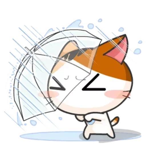 katze, eine katze, miow anime, meow animiert, japanische katze