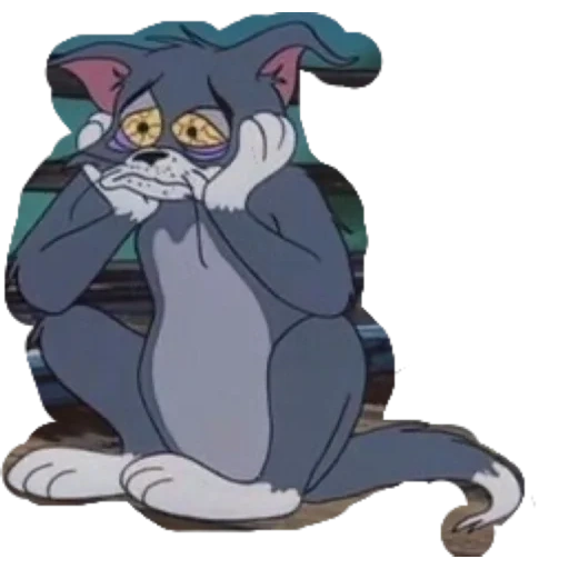 tom jerry, le chat tom pleure, tom jerry cat, triste chat tom, triste tom jerry