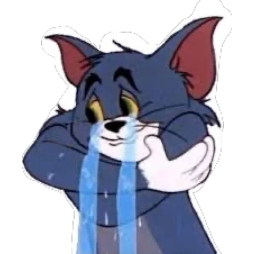 tomás, triste tom, tom jerry, llorando jerry, tom jerry tom está llorando