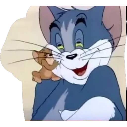 tom jerry, tom tom jerry, gato tom tom jerry, tom cartoon tom jerry