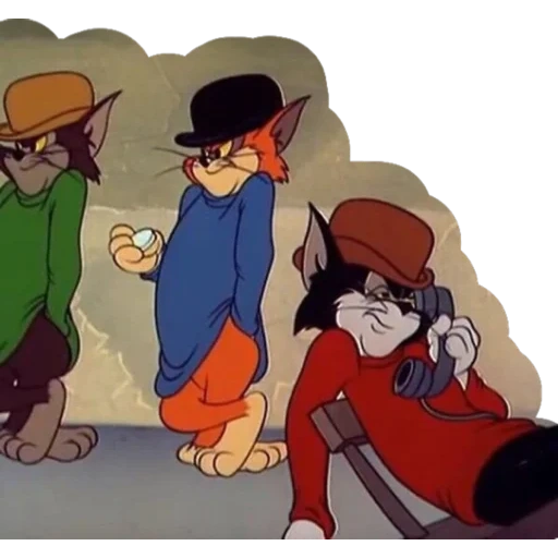 tom jerry, tom jerry cat, gato tom jerry, tom jerry gang, tom jerry three cats bandit