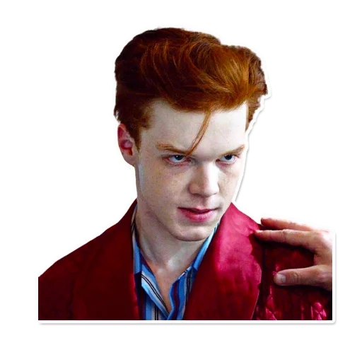 jerome valeska, cameron monnaen, cameron monaen gotham, jerome valeska gotham stagione 2, cameron monaen gotham jerome