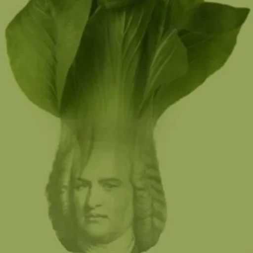 bach, des légumes, meme de musique, pierre aigre, whitator de la forêt