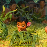 моана, моана кадры, гумбо моана, маленькая моана, домашнее растение