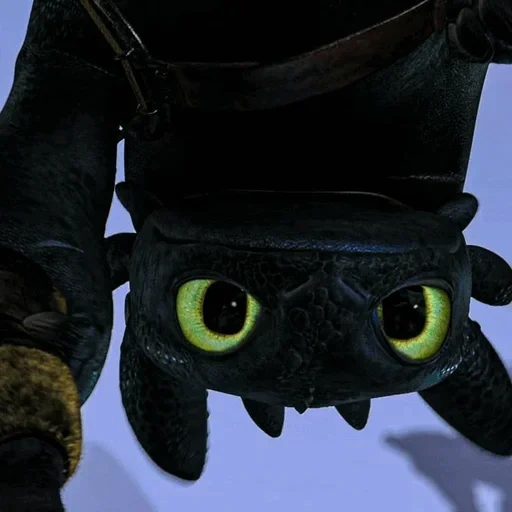 bezobik, furia is a toothless, dancing toothless, beginless night furia, turn the dragon toothless