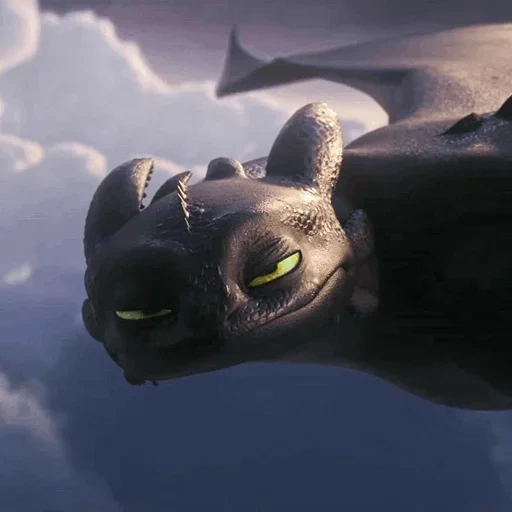 daytime furia, endless daytime, elivery daytime furia, turn the dragon toothless