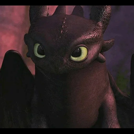 night fury, the dragon is inothless, night fury is a trunk, night furia dragon cartoon