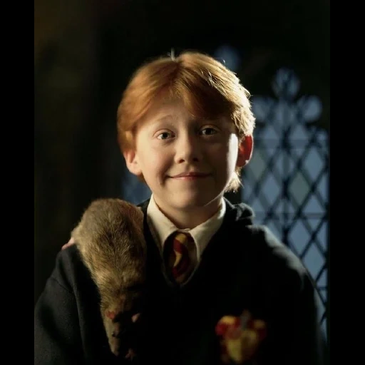 ron weasley, harry potter, halipotron, ron weasley harry potter, rupert grint harry potter