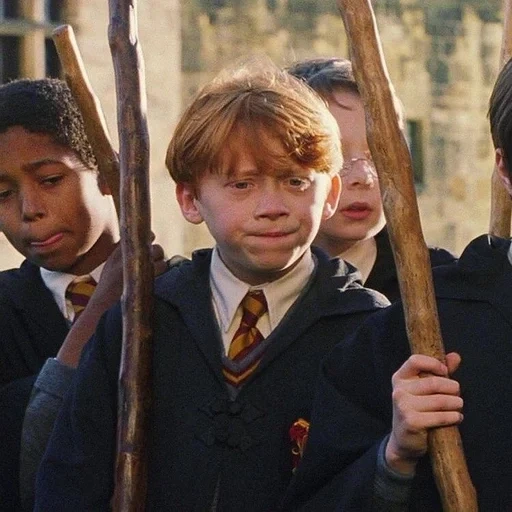 o filme, harry potter, hogwarts harry potter, a pedra do filosofo, trinity harry potter ron hermione