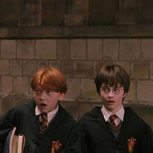 harry potter, harry potter harry potter, harry potter ron mcgonagall, rupert grint harry potter 2001, piedra del filósofo de harry potter harry ron