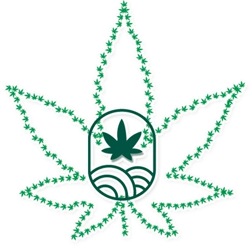 plante, feuille de chanvre, une feuille de marijuana, motif hogide, modèle de feuille de chanvre