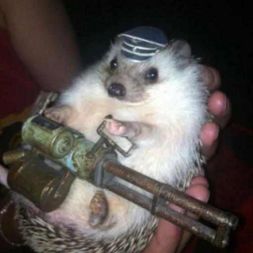 igel ist lustig, hedgehog partisan, hedgehog automatisch, igelmaschinengewehr, kleiner igel