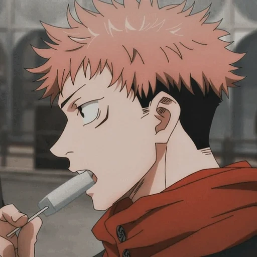 jujutsu, yuji itadori, itadori yuuji, jujutsu kaisen, yuji itadori est cher