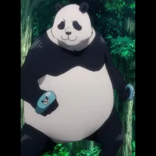 jujutsu, panda senpai, jujutsu kaisen, ju ju kayson panda, kikujuku kayson anime panda