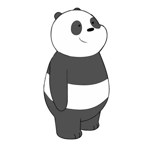 panda, panda panda, urso panda, ursos nus panda, toda a verdade sobre os ursos de panda