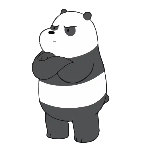 panda, panda pattern, panda bear, we naked bear panda, the whole truth of panda bear