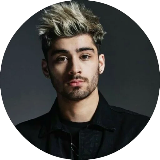 zayn, zane, zain malik, justin bieber, zayn malik entertainer lyrics