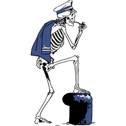scheletro, umano, schizzo scheletro, disegno scheletro, scheletro umano