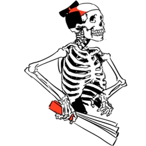 scheletro, scheletro, pirata scheletro, disegno scheletro, lo scheletro con una matita