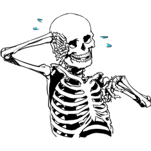 squelette, skeleton, fond de squelette, mème squelette, motif squelette