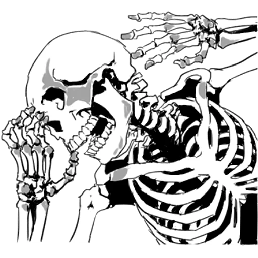 das skelett, the skeleton, die kunst des skeletts, das muster des skeletts, ästhetik des skeletts