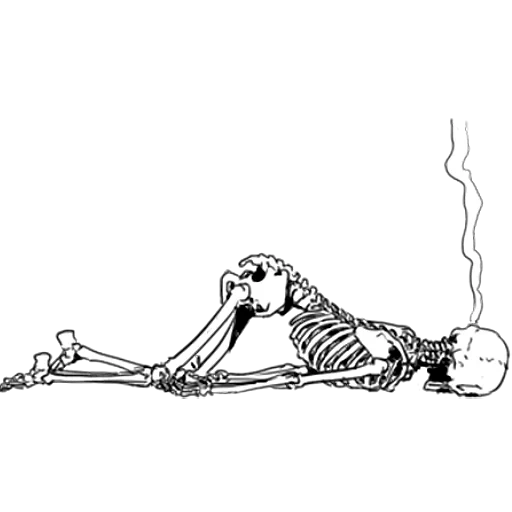 skeleton, skeleton of poses, skeleton sketch, skeleton drawing, lying skeleton