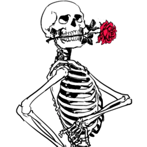 lo scheletro, skeleton, scheletro per la rosa scheletro, spooky scary skeletons meme, skull thinking bianco e nero