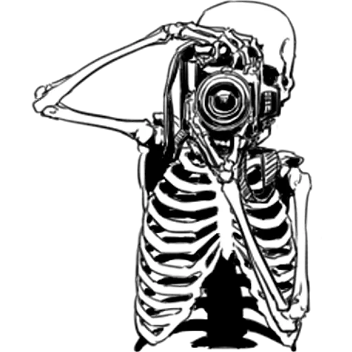 squelette artistique, croquis de squelette, motif squelette, spooky scary skeletons meme